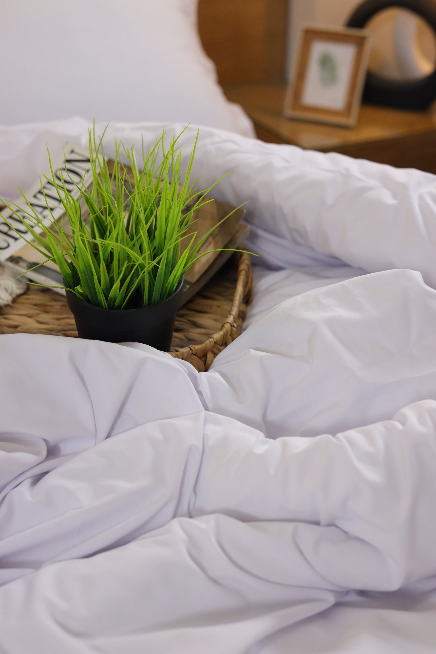 MILK Premium Cotton Duvet Cover