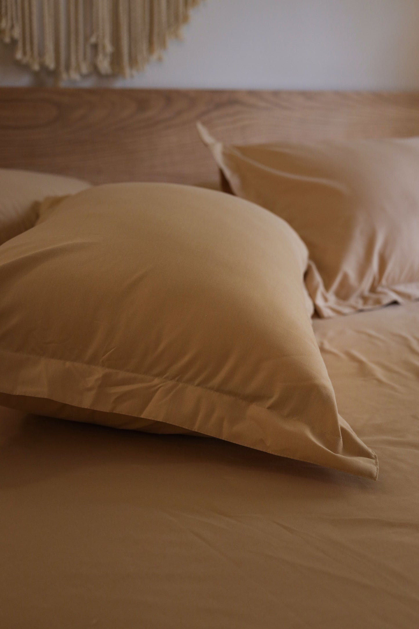 DUNE Premium Cotton Bedsheet