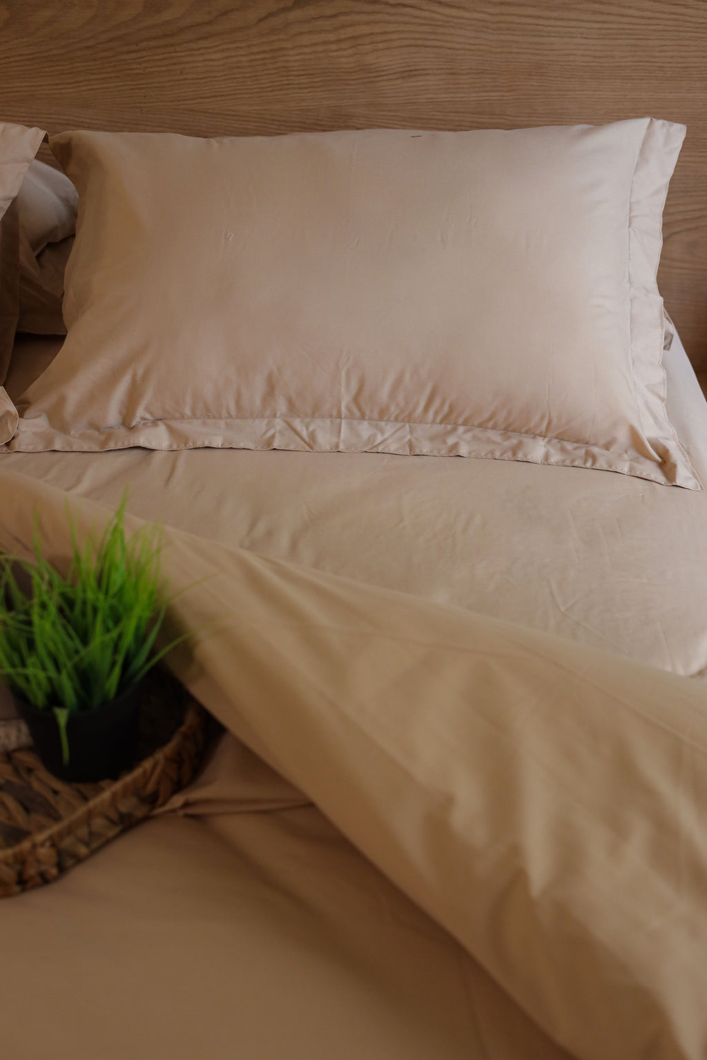 DUNE Premium Cotton Duvet Cover