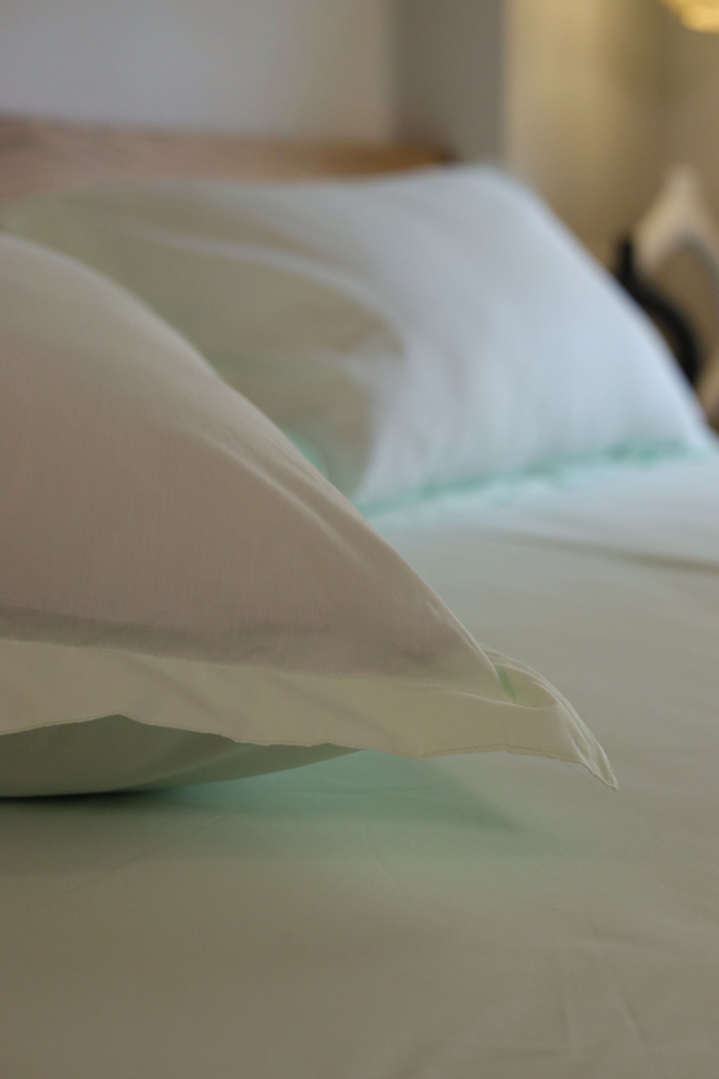 SEAFOAM Premium Cotton Bedsheet