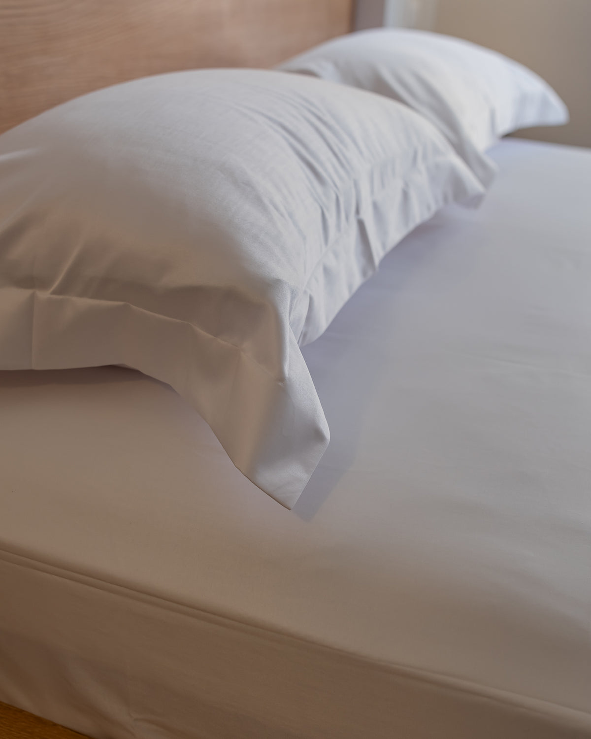 WHITE oxford silky cotton bedsheet