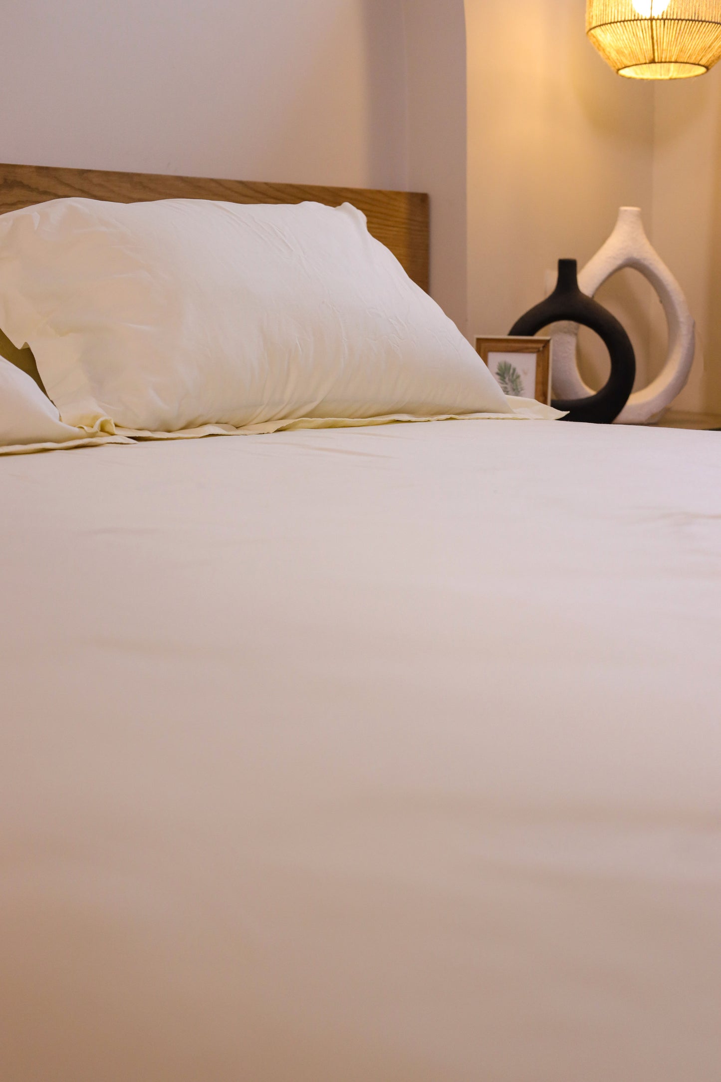 SUGAR Premium Cotton Bedsheet