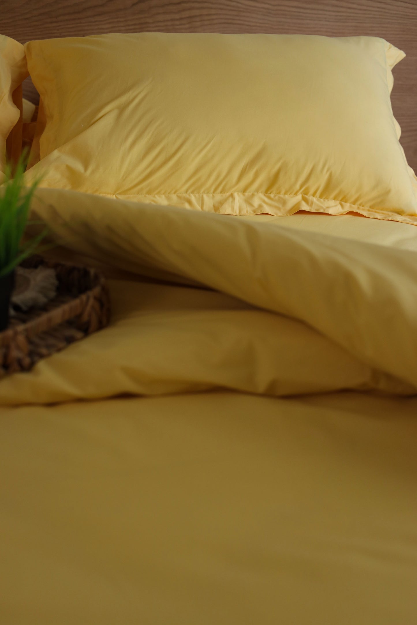 HONEY Premium Cotton Duvet Cover