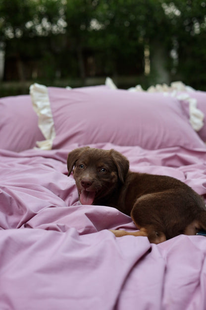 BLUSH RUFFLES Percale Cotton Duvet Cover