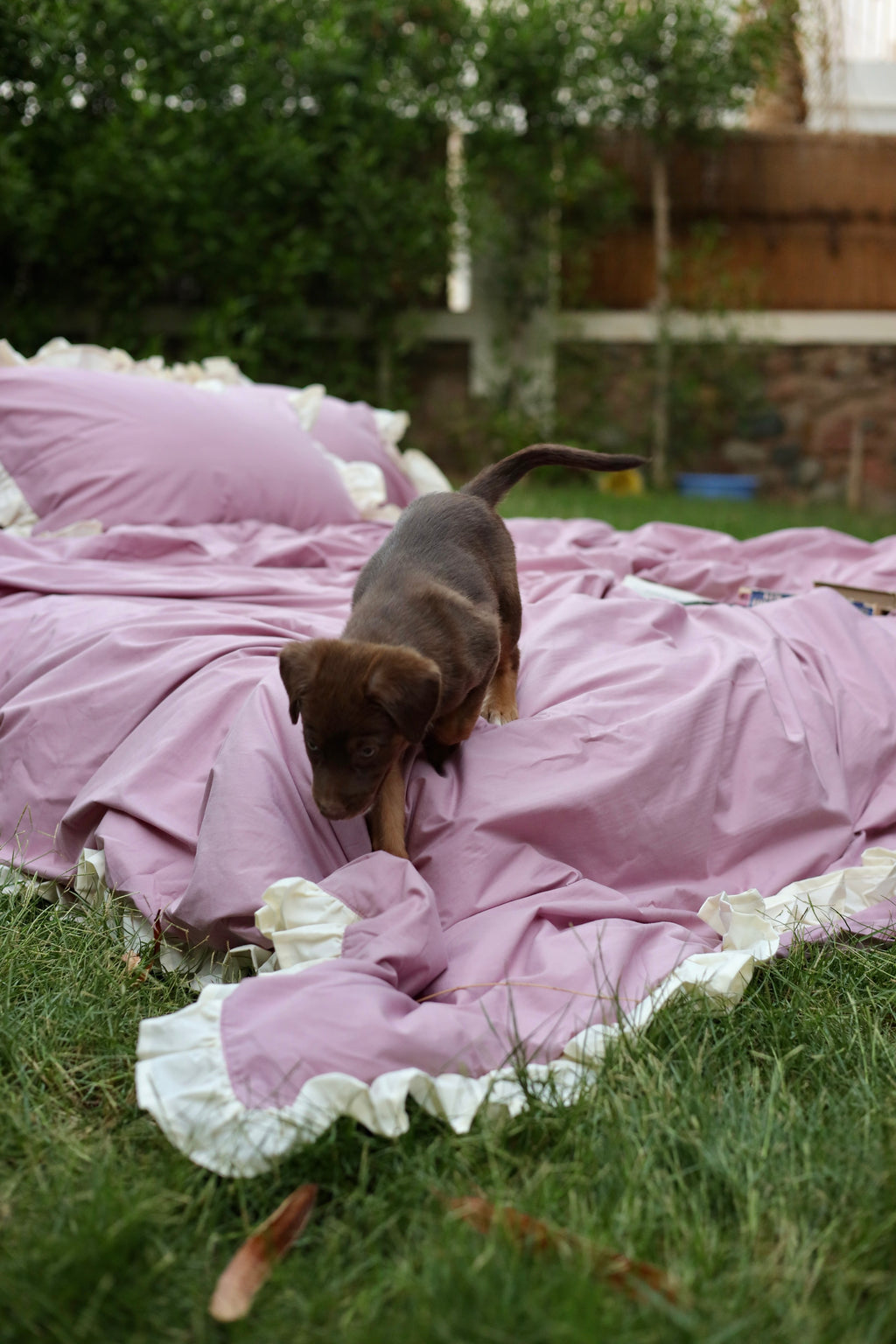 BLUSH RUFFLES Percale Cotton Duvet Cover