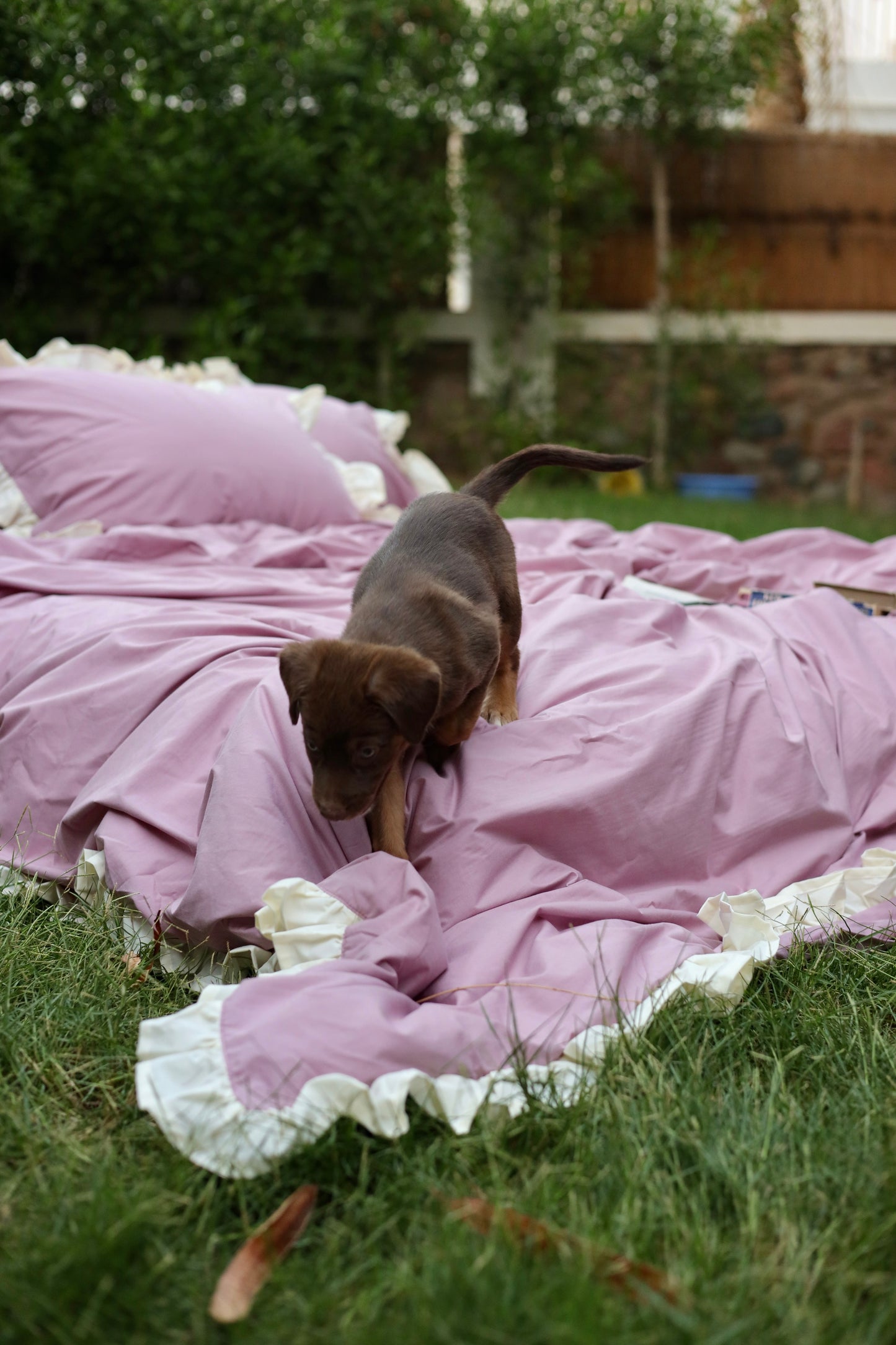 BLUSH RUFFLES Percale Cotton Duvet Cover