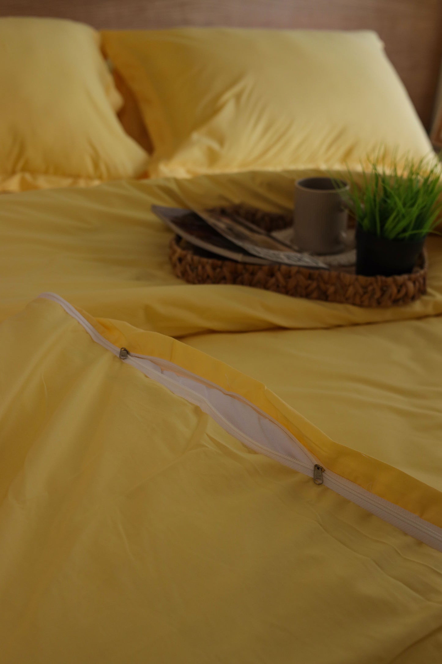 HONEY Premium Cotton Duvet Cover
