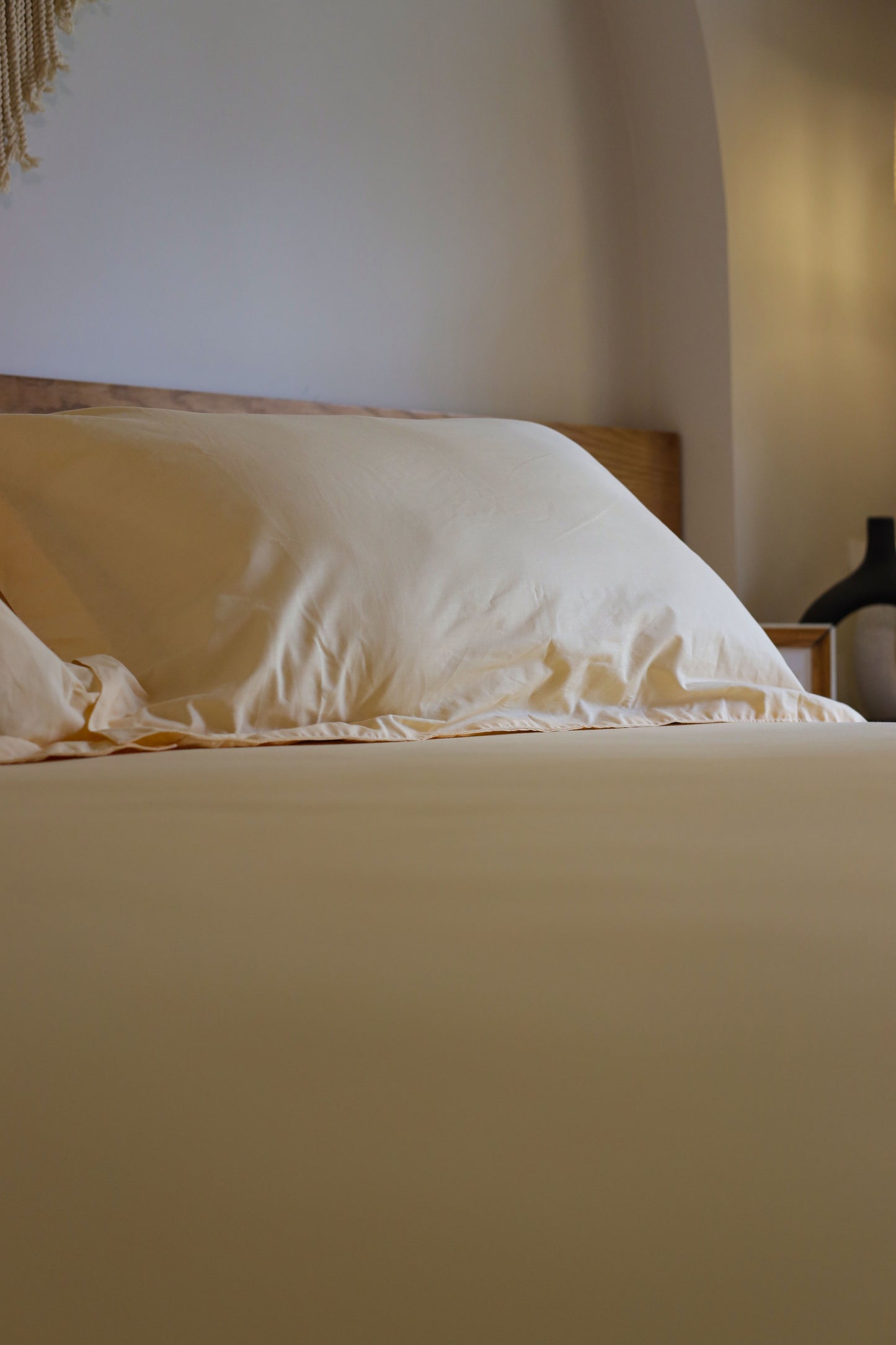 ALMOND Premium Cotton Bedsheet