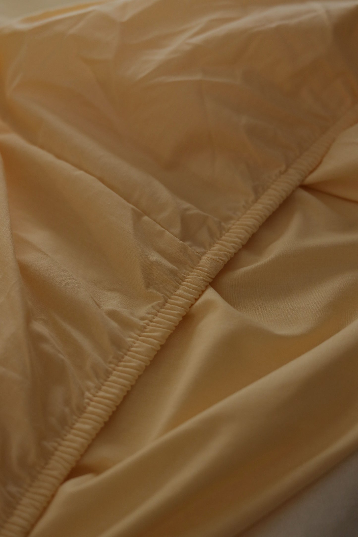 ALMOND Premium Cotton Bedsheet