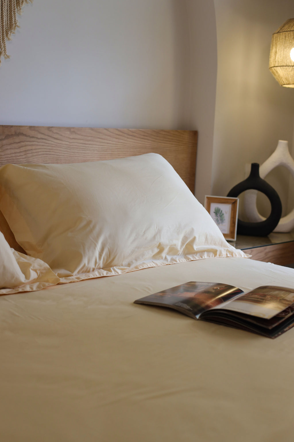 ALMOND Premium Cotton Bedsheet