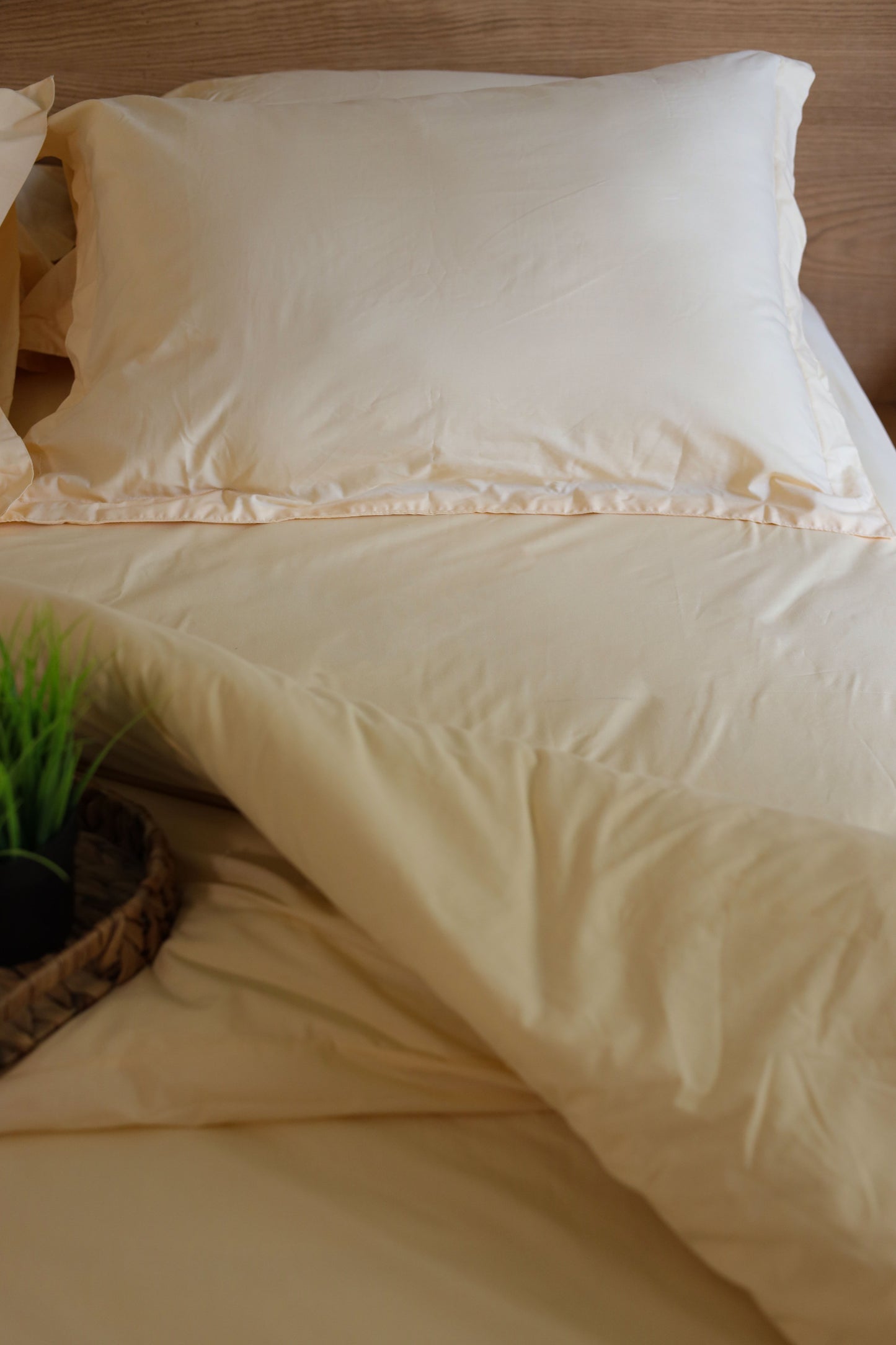 ALMOND Premium Cotton Duvet Cover