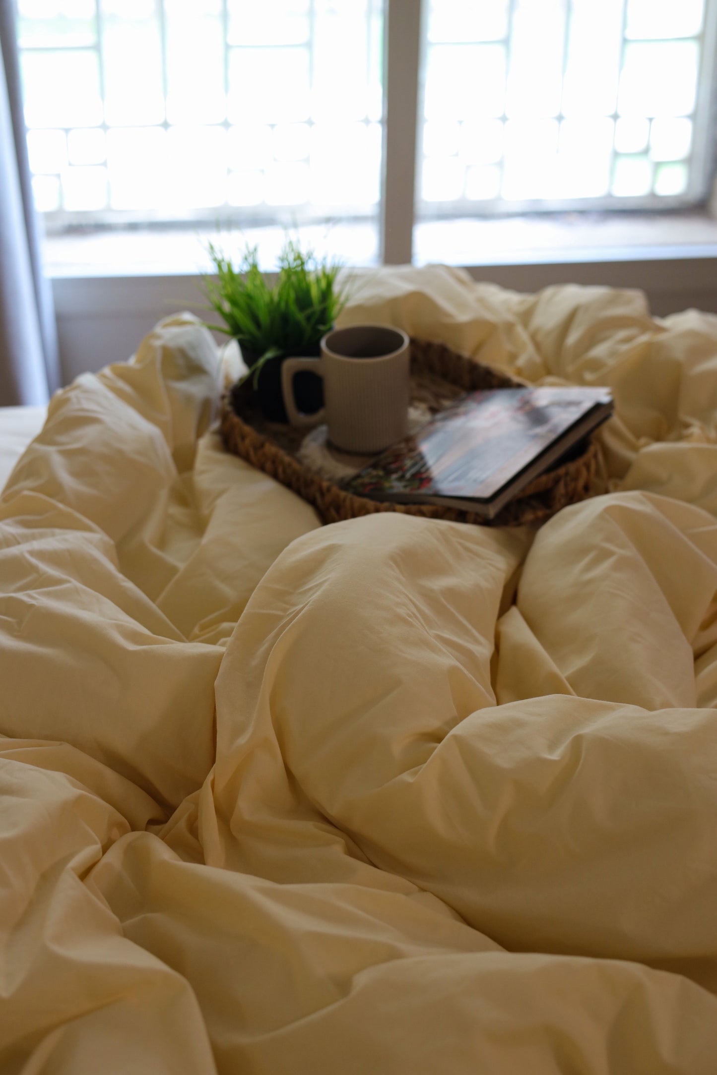 ALMOND Premium Cotton Duvet Cover