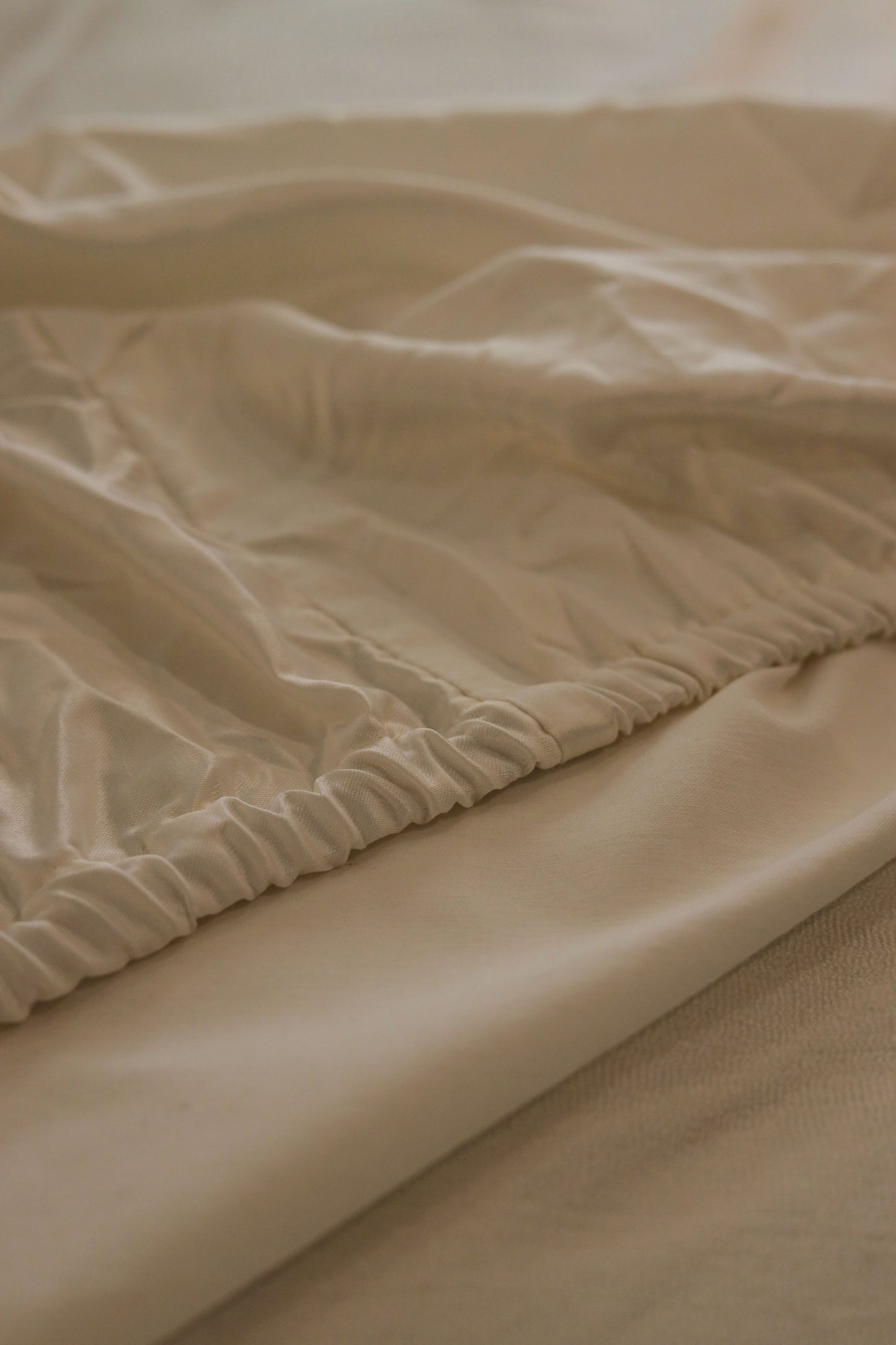 RIBBONELLE CREAM silky cotton bedsheet