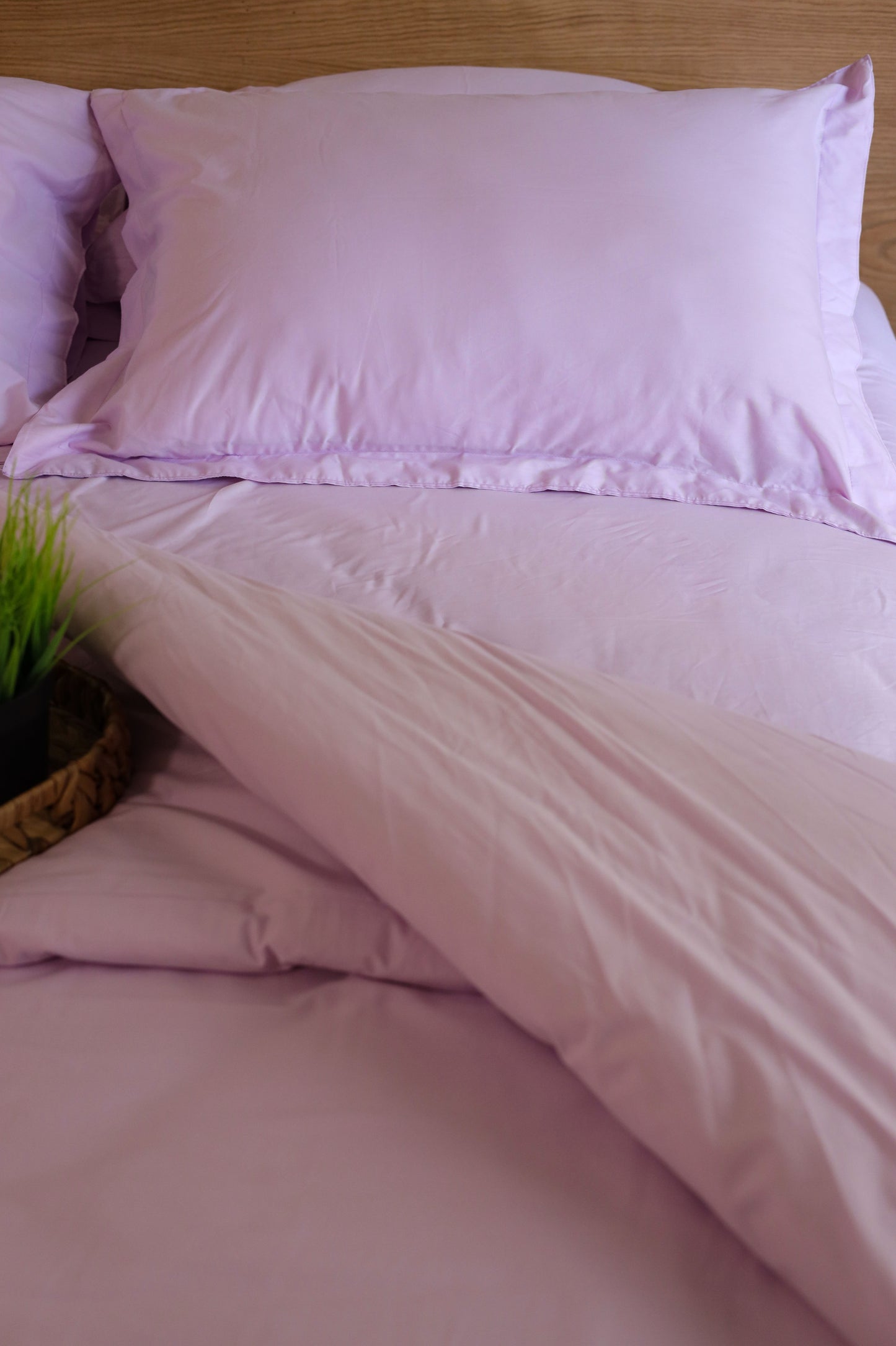 LAVENDER Premium Cotton Duvet Cover