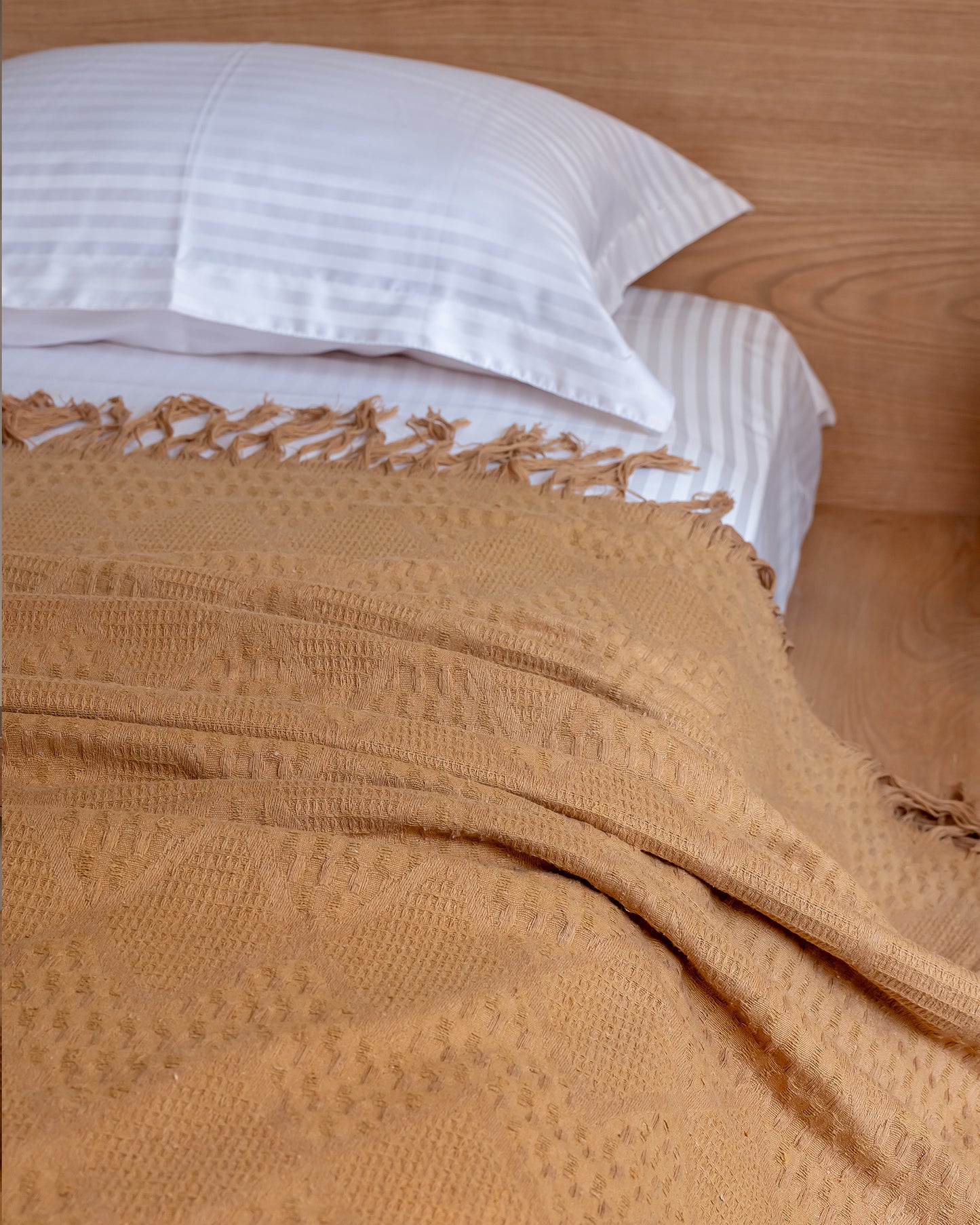 BISCUIT Becca Cotton Throw Blanket