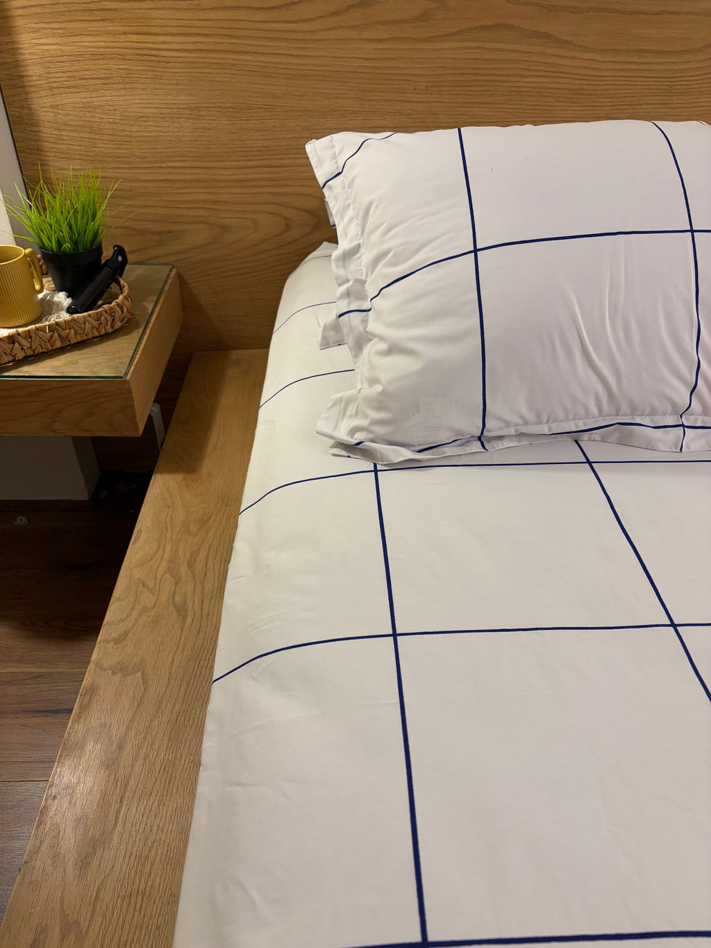 BLUE LINEA cotton bedsheet