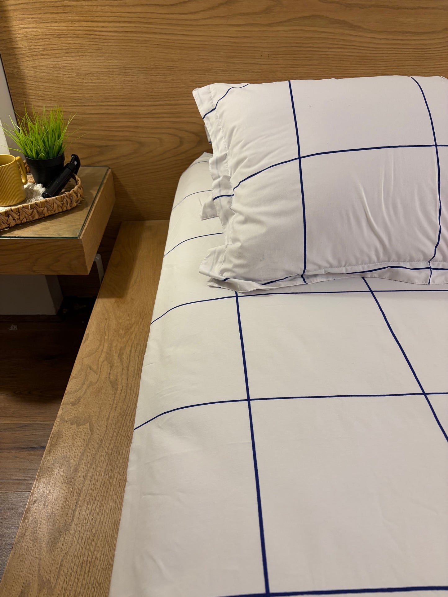 BLUE LINEA cotton bedsheet