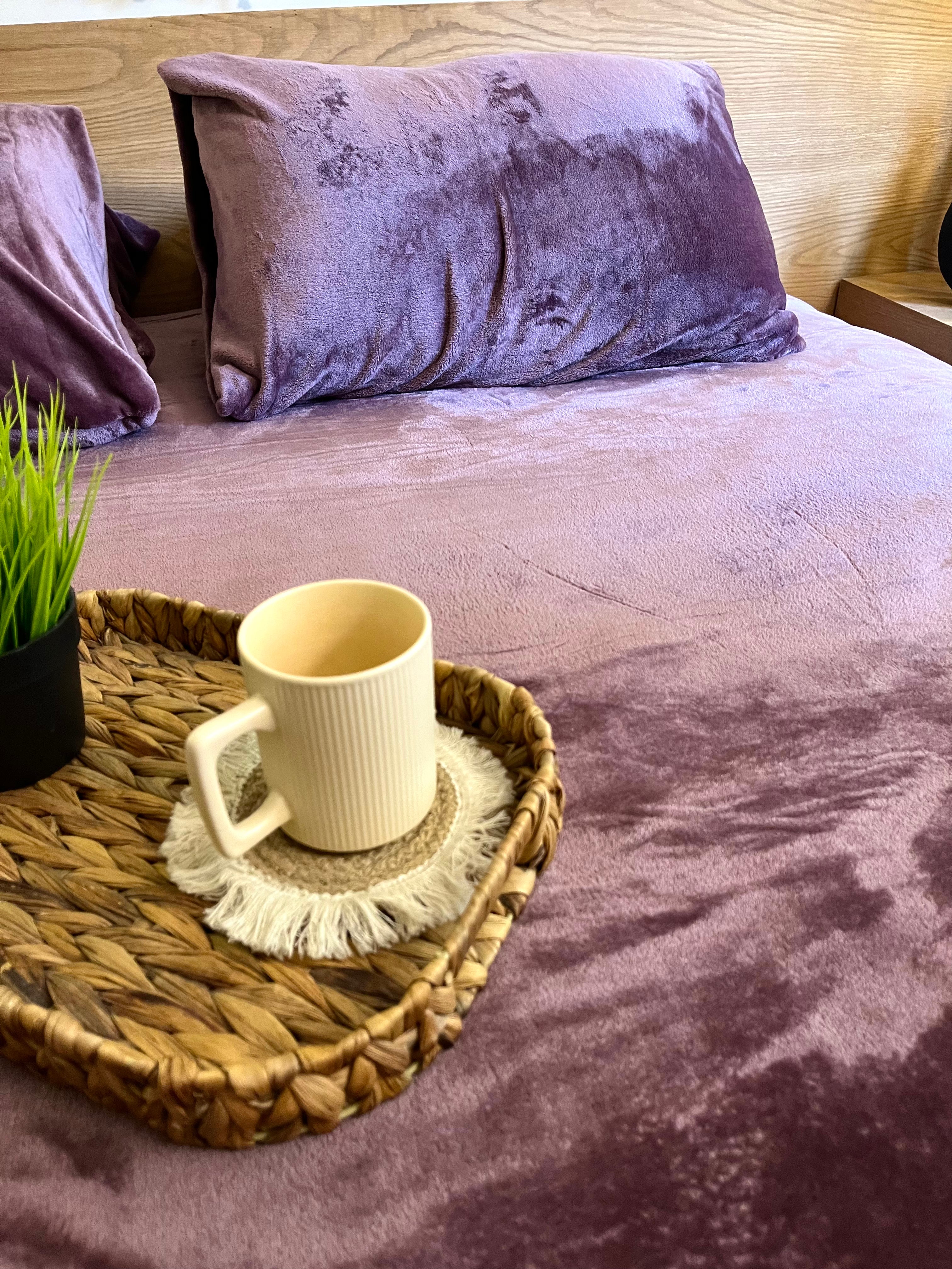 ROYAL PLUM Plain Flannel Bedsheet