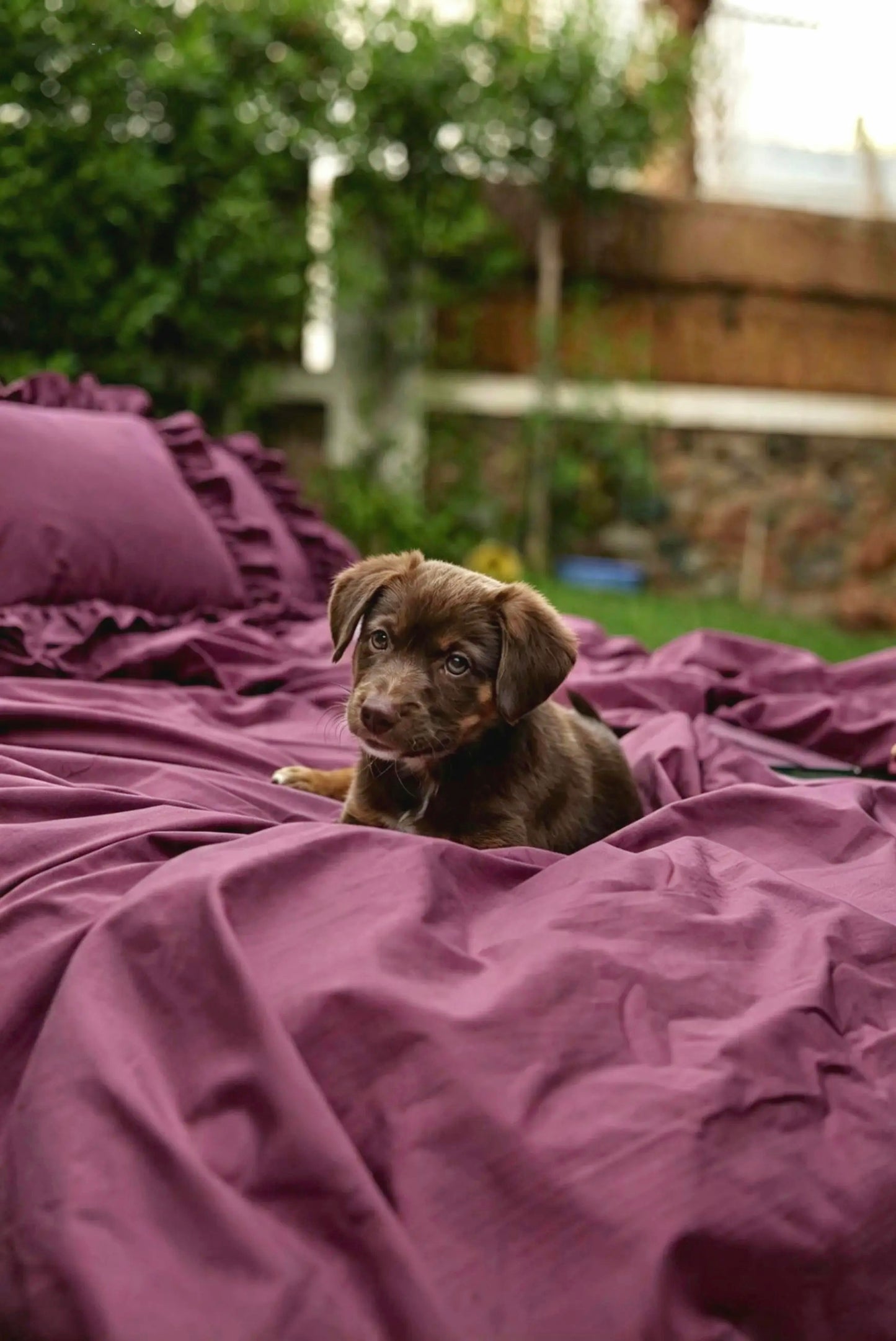 BERRY RUFFLES Percale Cotton Duvet Cover