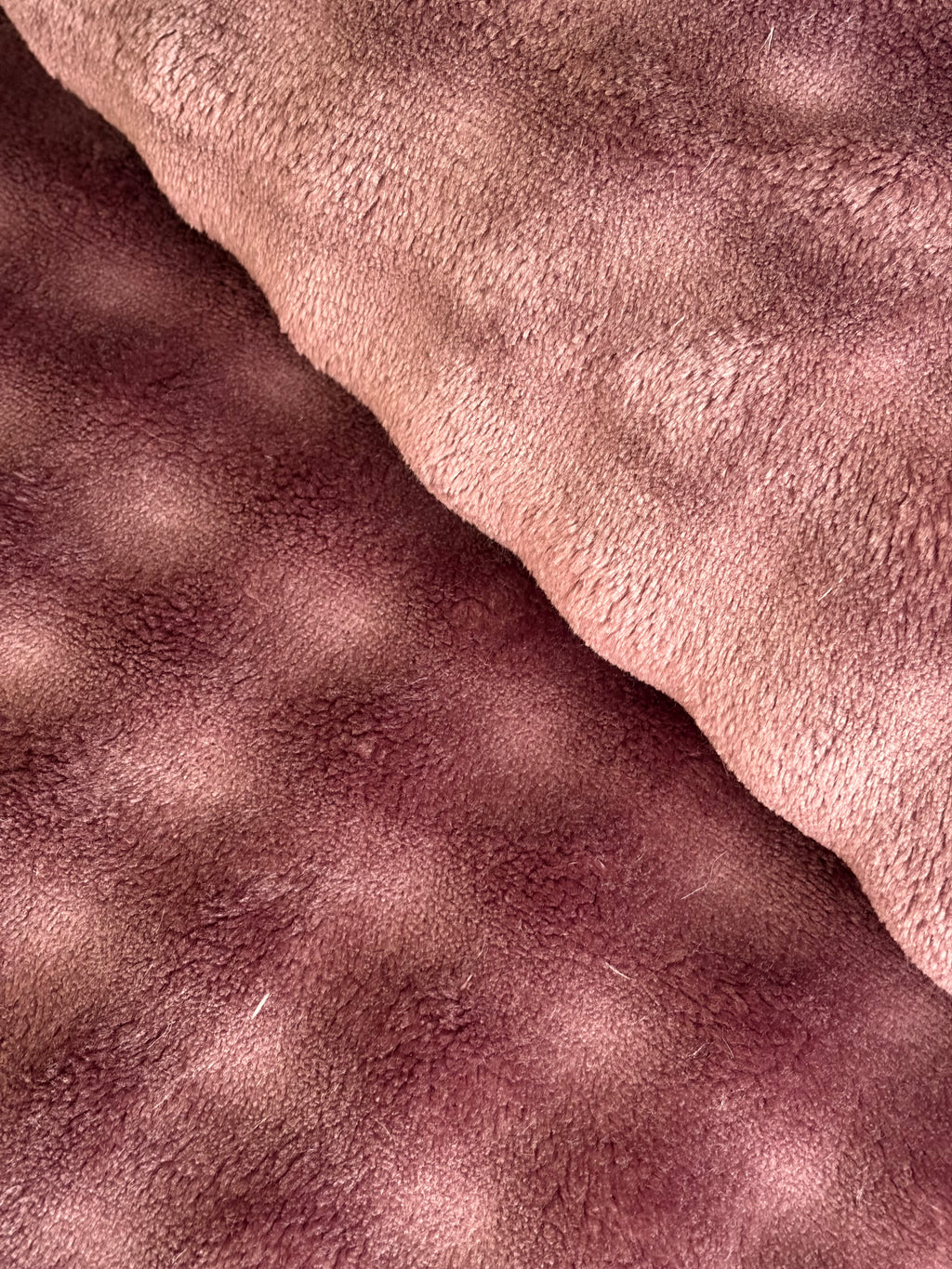 ROYAL PLUM Bubbles Blanket