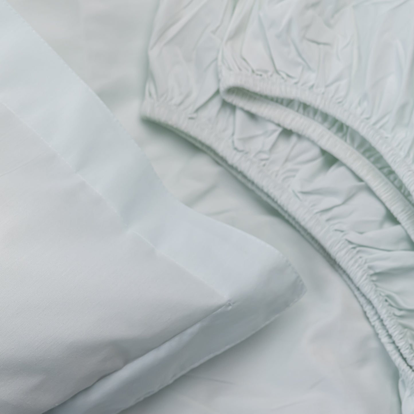 MINT cotton bedsheet